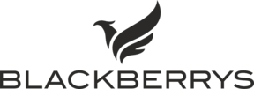 Blackberrys logo