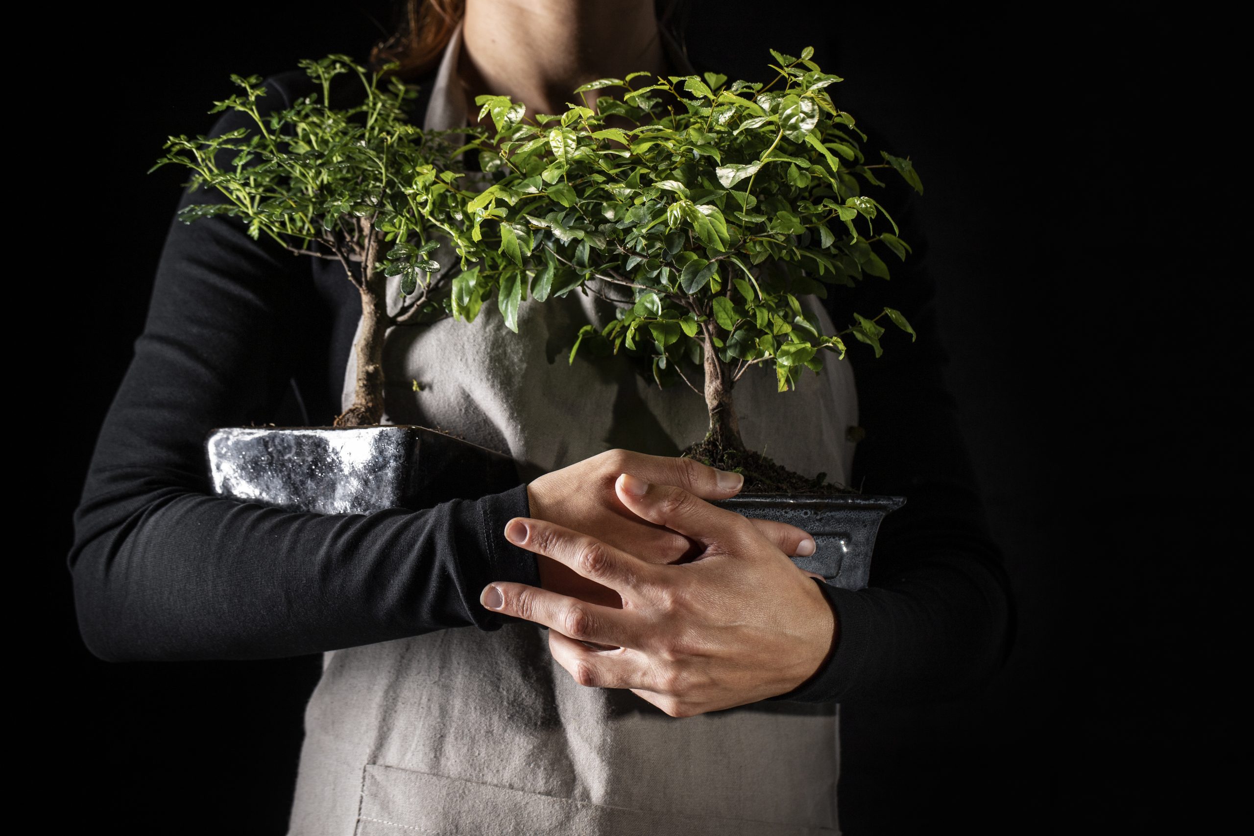 Life Cycle Assessment (LCA) Explained – A Beginner’s Guide