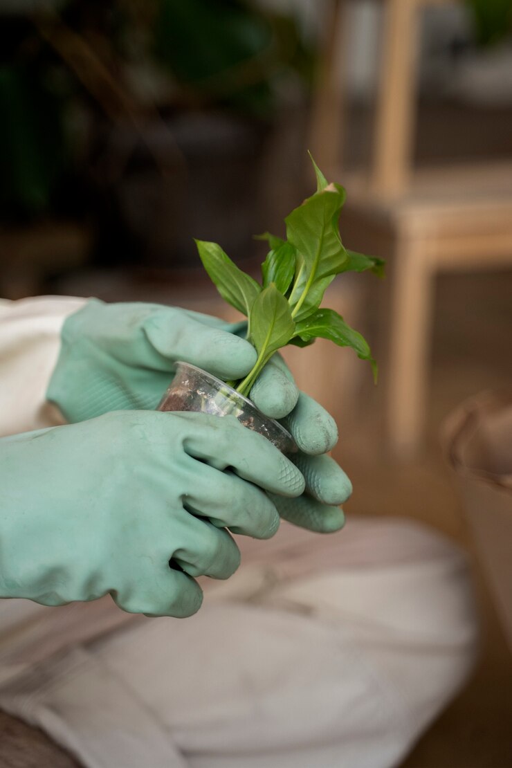 The Future of Sustainability Reporting – 2025 and Beyond